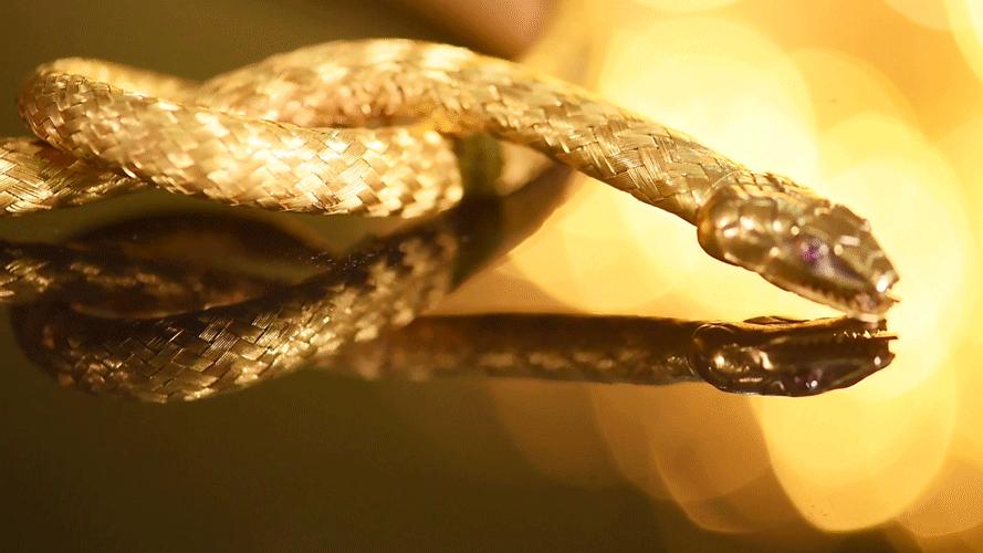 她让无知少女吃下*果禁**，从不忏悔