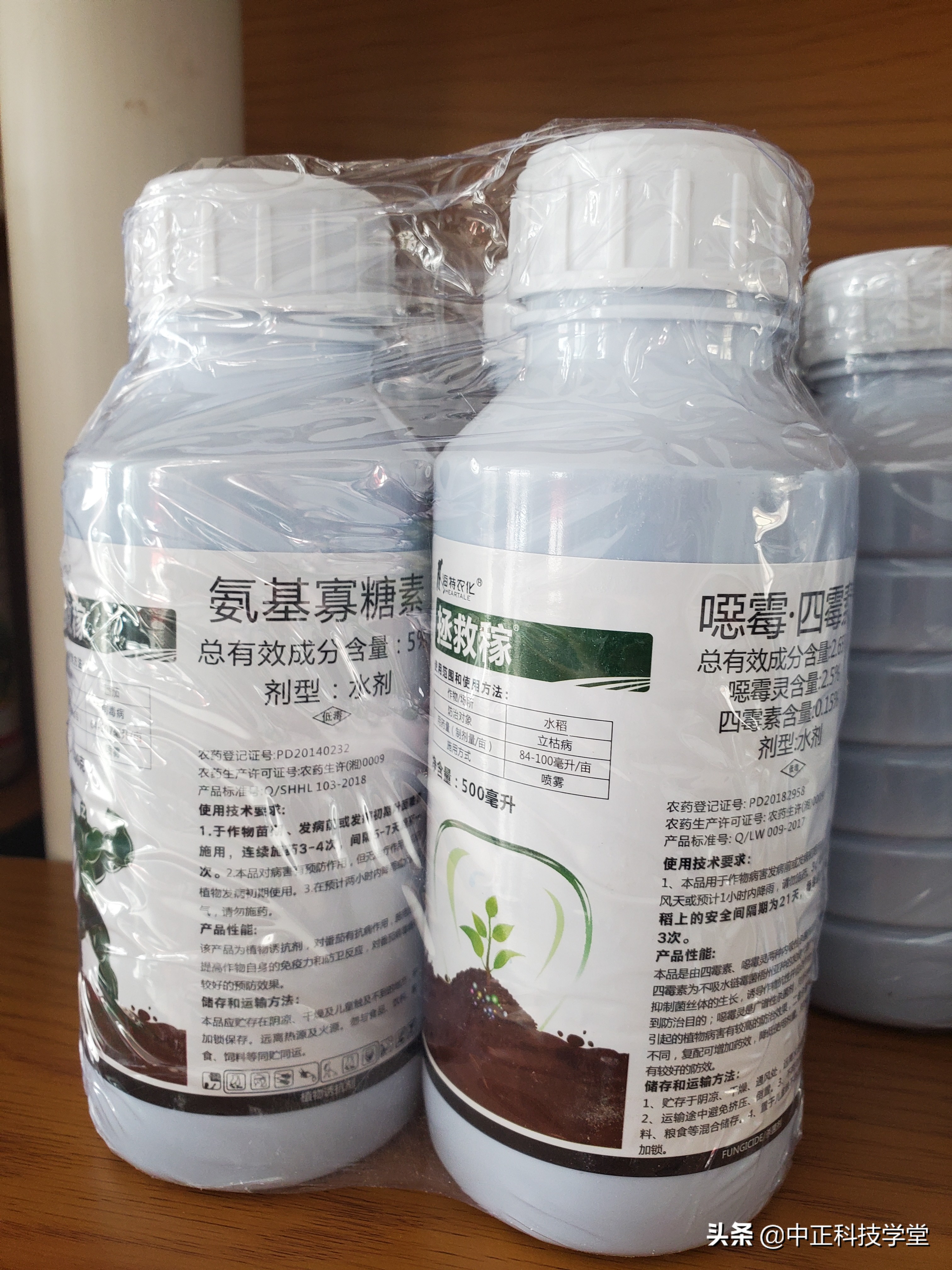 治疗棉花黄萎病哪种药最好,棉花枯黄萎病最新最详细防治方法