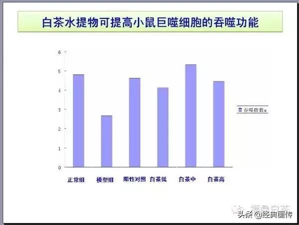 刘仲华白茶功效,刘仲华谈福鼎白茶