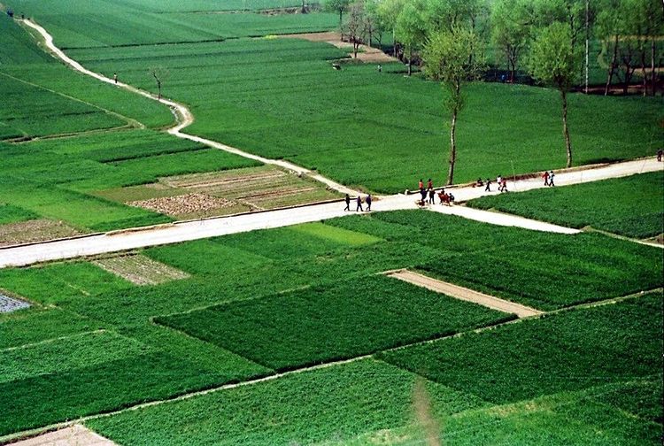 大荔故事,大荔故事里