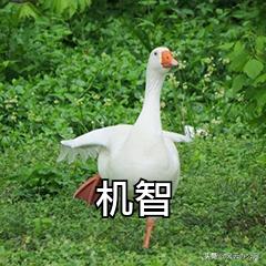 kux格式怎么转换为mp4格式,kux格式怎么免费转换成mp4