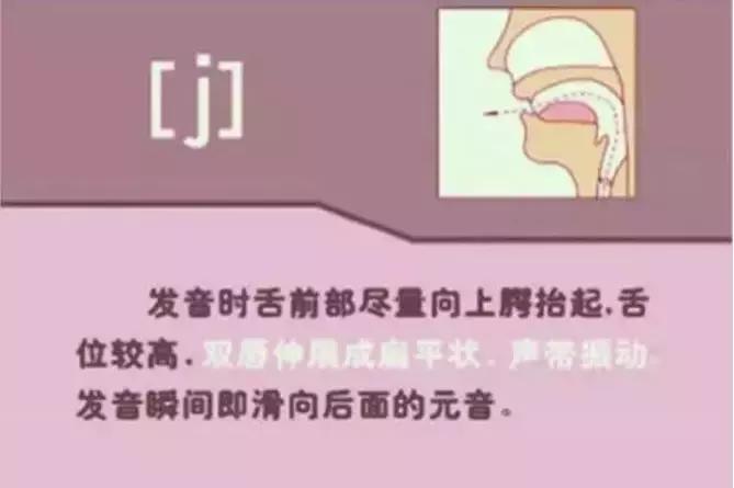 音标发音48个正确发音口型,小学英语音标发音48个口型
