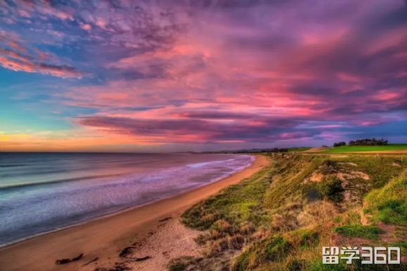 新西兰一站式留学方案,新西兰留学一年专业有哪些