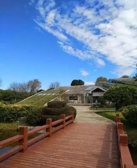 昆明最火网红打卡景点免费的,昆明最近的值得打卡的景点