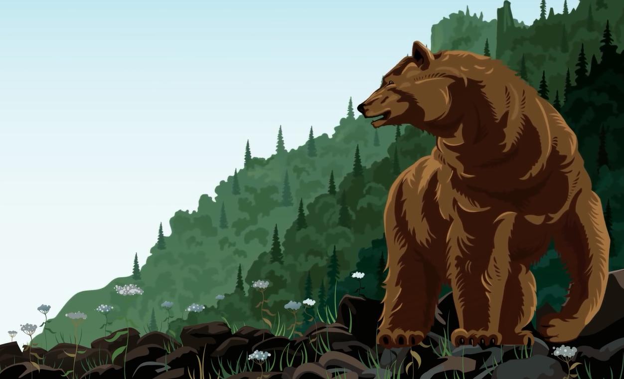 野外遇到大型动物如何自救,如果在野外遇到危险动物该怎么办