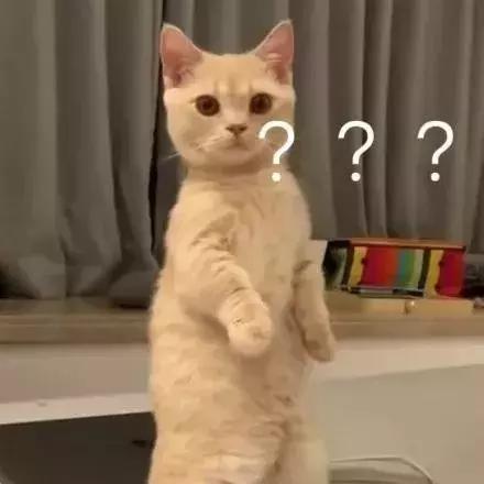 扎发教程简单好看夏天古风,2021年最火扎发教程