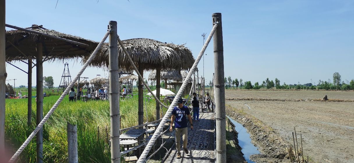 泰国北部的稻田咖啡,泰国大城府稻田咖啡厅