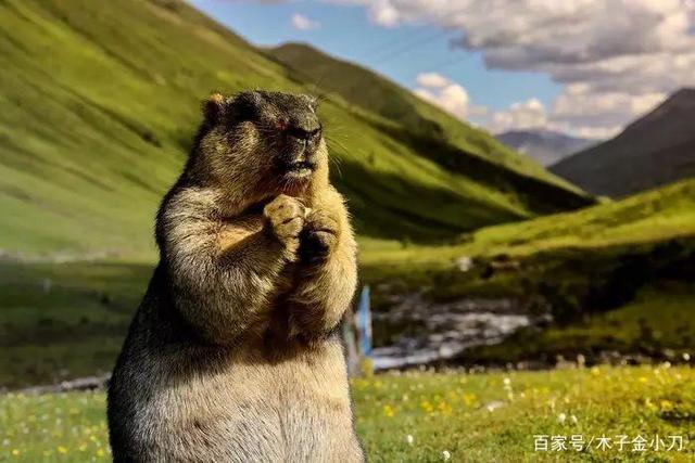 成都出发莫斯卡村自驾游攻略,成都到莫斯卡自驾攻略