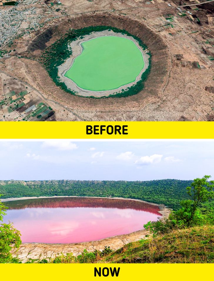 南极发现神秘洞穴图片,谷歌地图上发现的神秘外星人生物