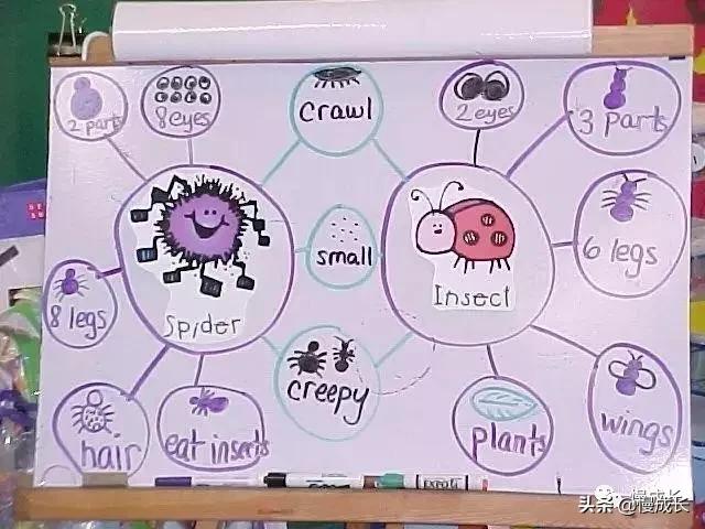 数123算7+6就是数学启蒙?5岁孩子的数学题真让我觉得自己out了