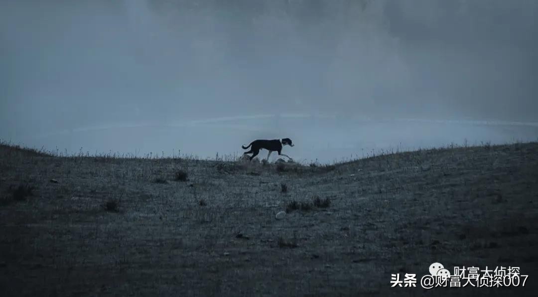 华富基金投资心得,华富基金业绩排倒数