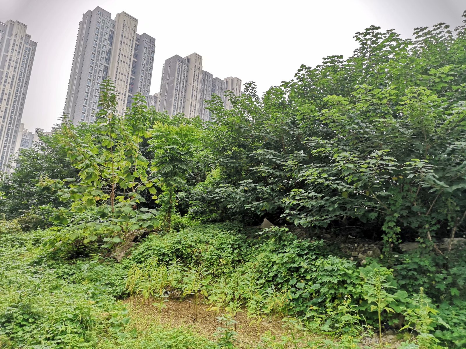 摩托景点打卡,摩托打卡地附近