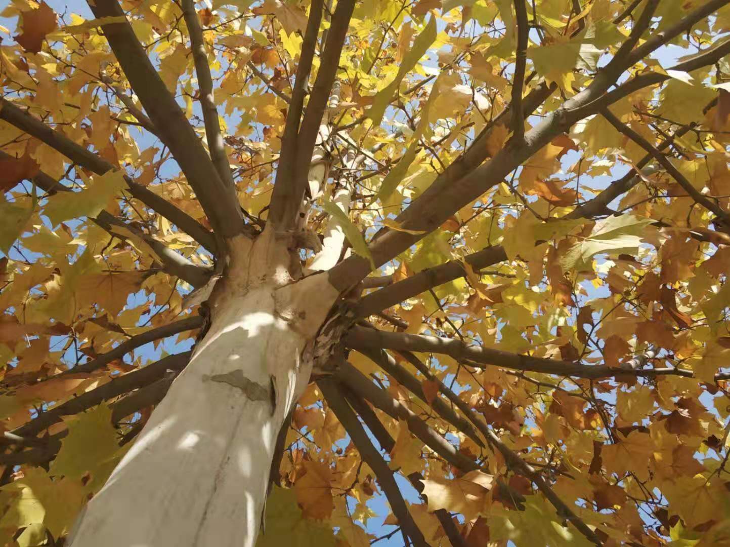 当你感到绝望的时候做什么动作,当你无助绝望的时候你该怎么办