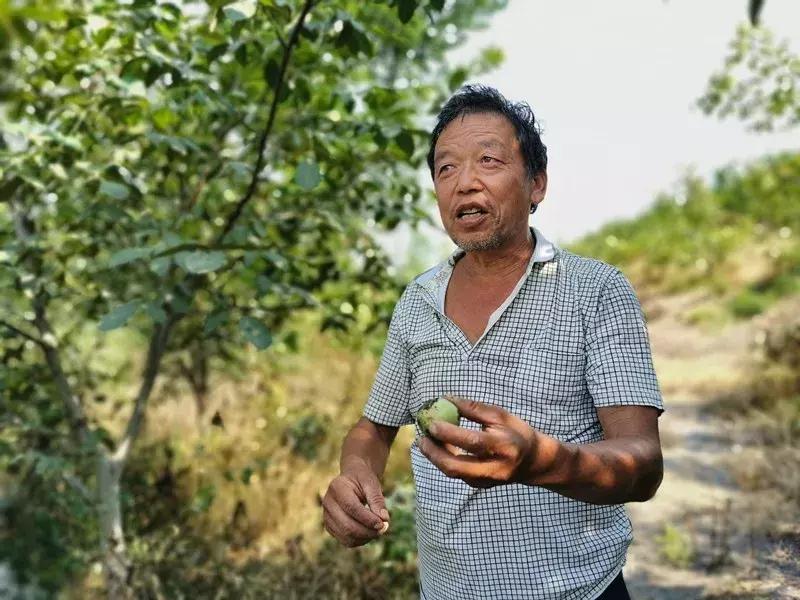 伊川县千年古镇，当过县城出过娘娘，可以摘核桃品美食