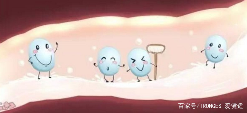 你知道益生菌的好处么,有人知道益生菌能提高免疫力吗