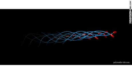 当精子被发现进行“滚动运动”后,科学家感谢列文虎克带来的欢乐