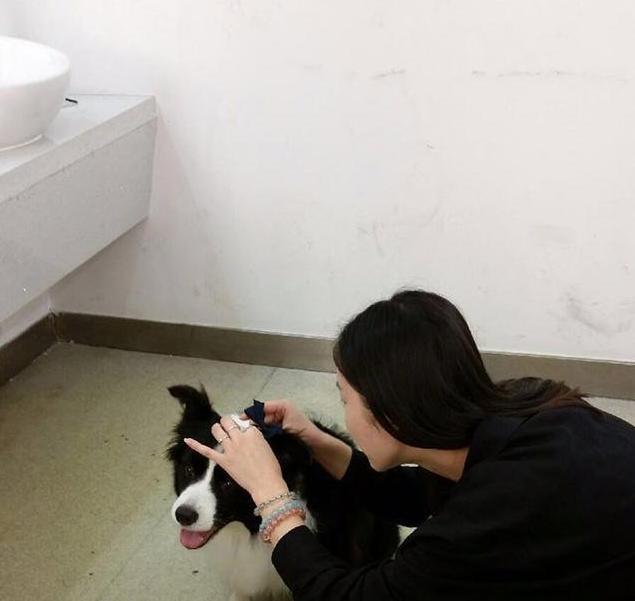 参观黄菡住的豪宅，专门打造一个休闲区，连椅子都是独立定做的