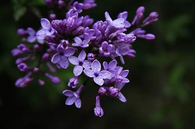 当代最好听的男歌曲20首,2020年华语流行歌曲一百首