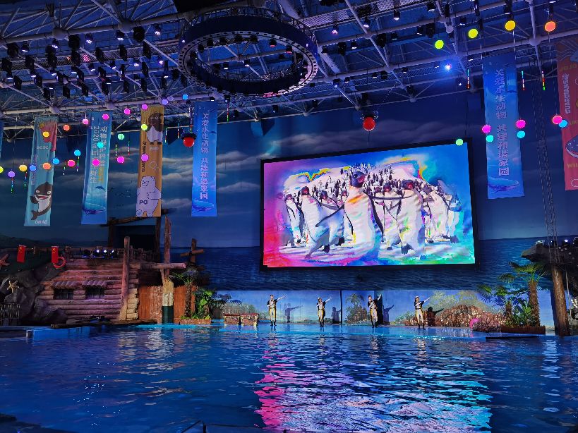 大连老虎滩5a景区,大连老虎滩5馆旅游攻略