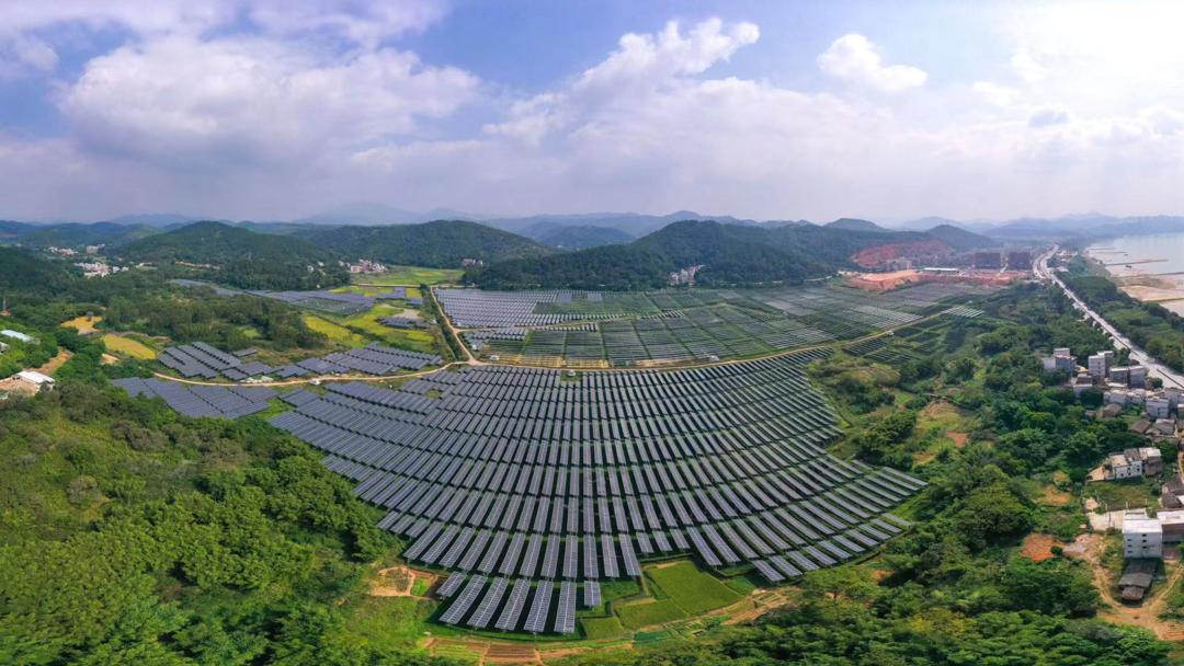 年产1000万株南药种苗、“光伏+农业”双收益……肇庆这个地方致富有“秘籍”！