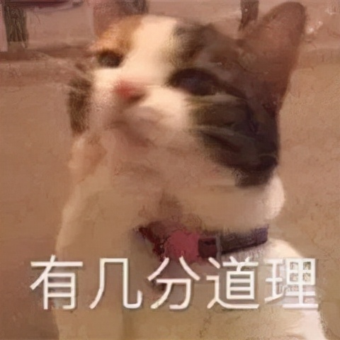 无印良品妆前乳隐匿毛孔好用吗,哪种妆前乳隐匿毛孔效果好点儿