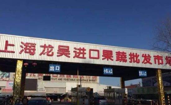 一手水果批发货源网站,水果批发怎样找产地货源