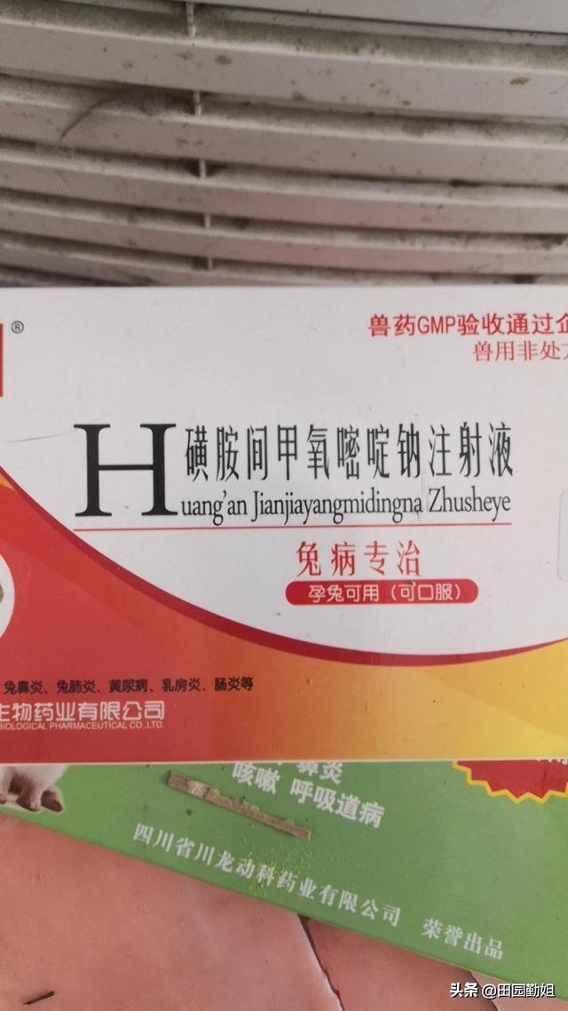 兔子大肠杆菌的症状及预防治疗,兔子大肠杆菌病症状和治疗