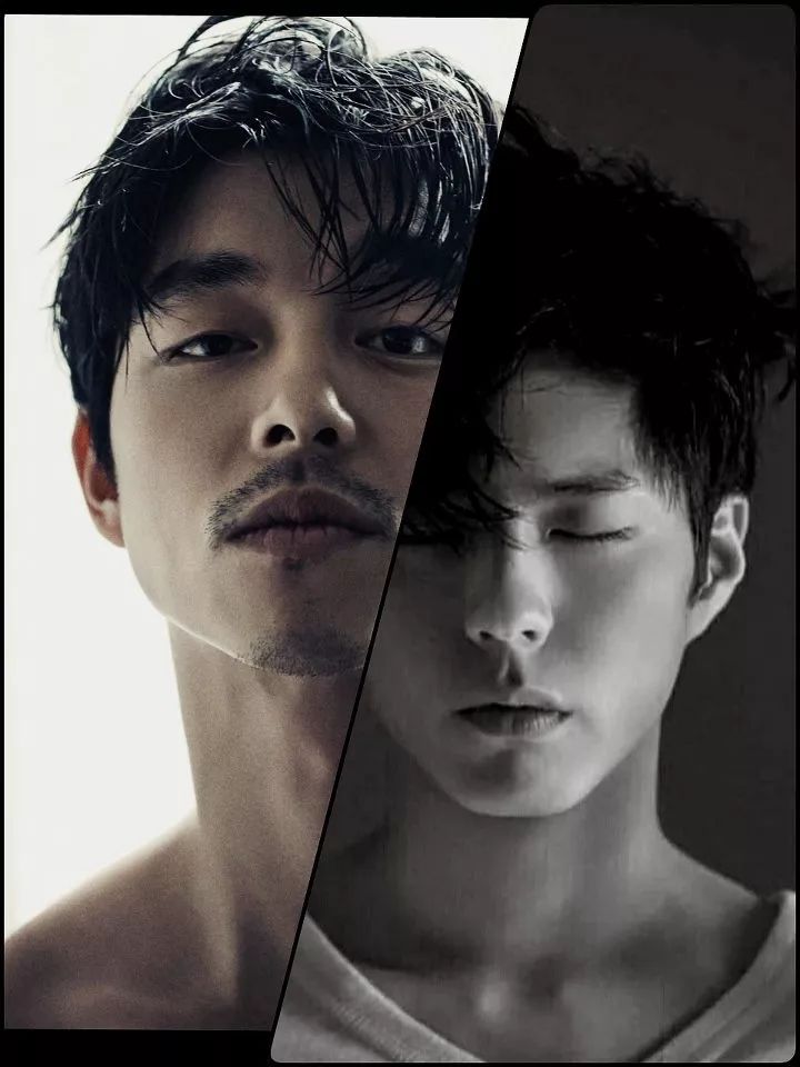 100部公认最好看的电影,100部最好电影