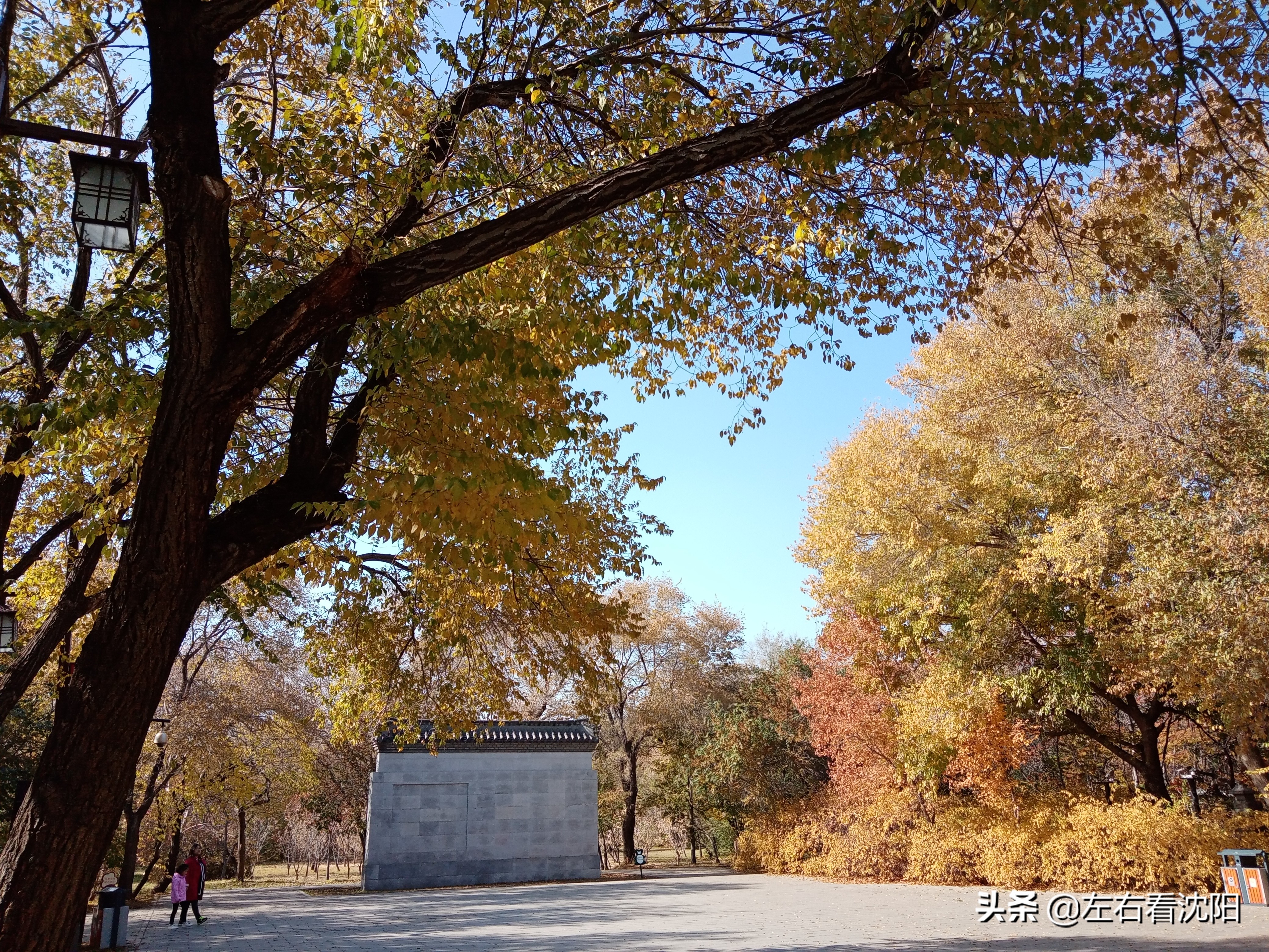秋季沈阳北陵公园有啥好玩的,漫步沈阳北陵公园湖水边