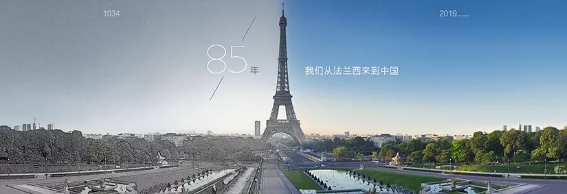 向上而生食品,向上而生完整版