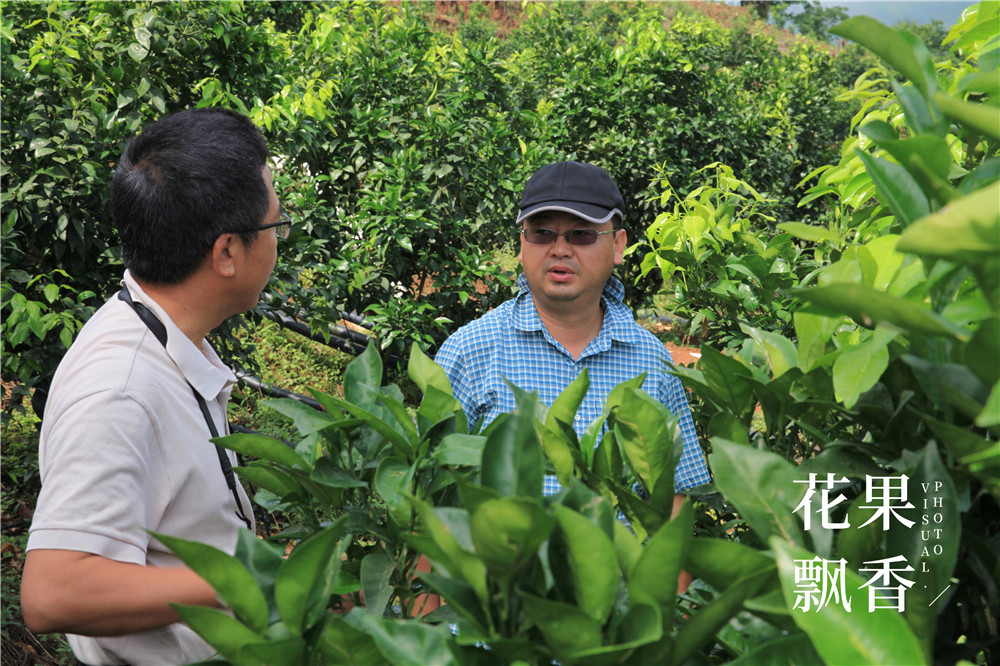 上市最早，收益最高，风险最大，果园投资的子午谷奇谋可取吗？
