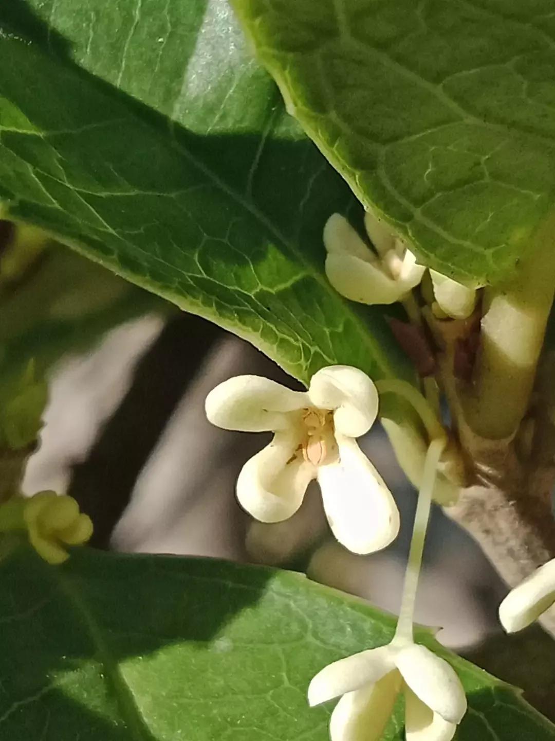 人睡着后不盖被子会着凉吗,人睡觉时为什么要枕枕头