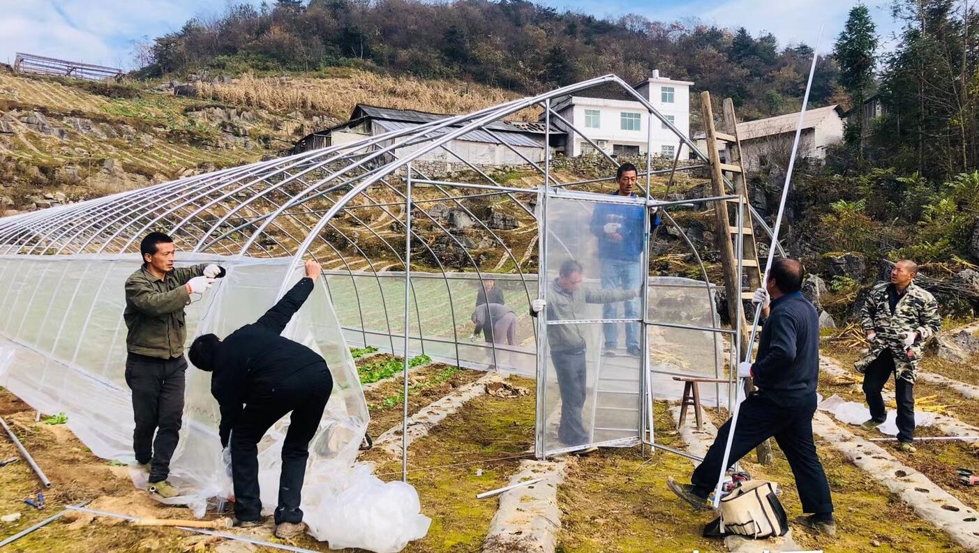 大棚建设注意什么,大棚建设以及安装