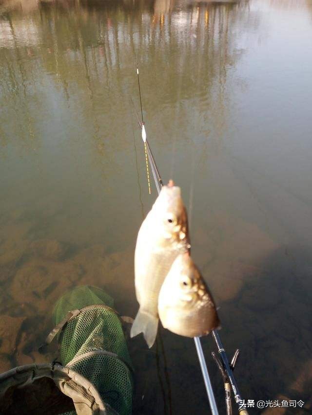 开好的拉丝粉加多了不雾化怎么办,为什么我调的饵料拉丝粉雾化不好