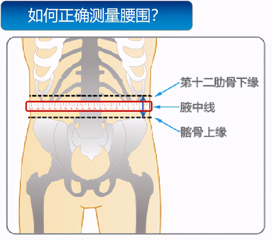 测测你是不是真的胖公式,测测试胖了之后的样子