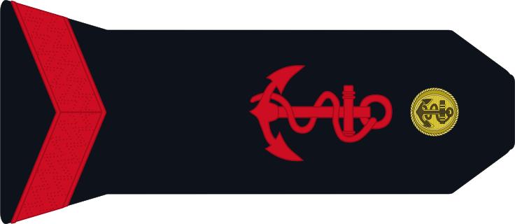 法国将军军衔等级,法国上校是什么军衔