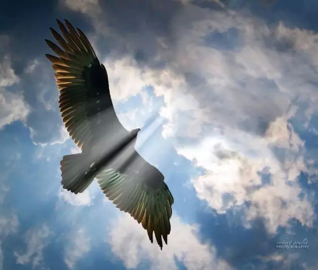 最强大脑智力挑战人类智商天花板,最强大脑神奇算法