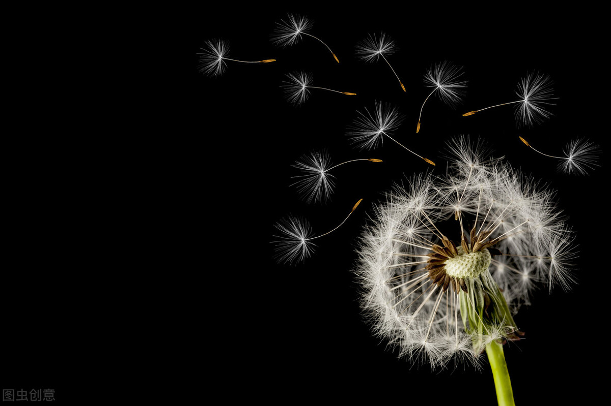 免费软件的盈利模式,免费模式背后盈利点