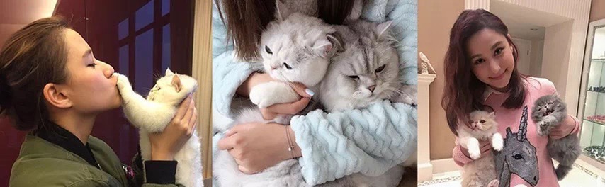 赌王千金真实情史,赌王千金情路坎坷