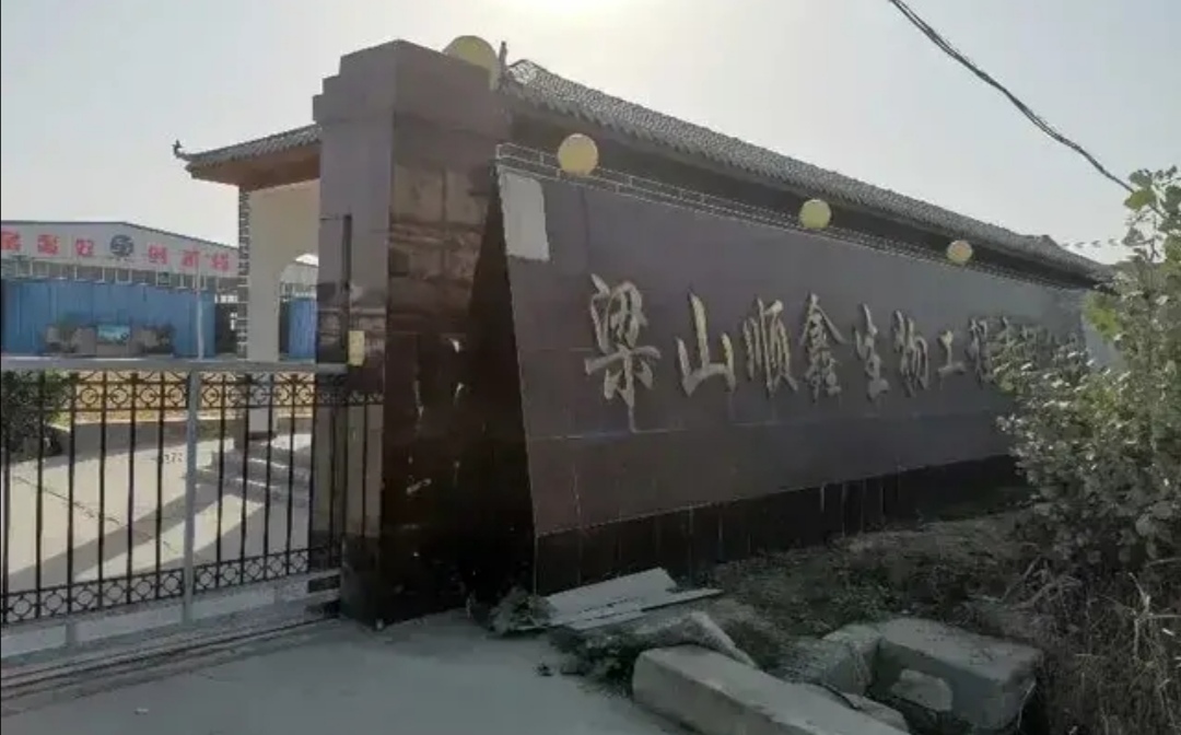 全国评酒深度解析,中国第一届评酒大会