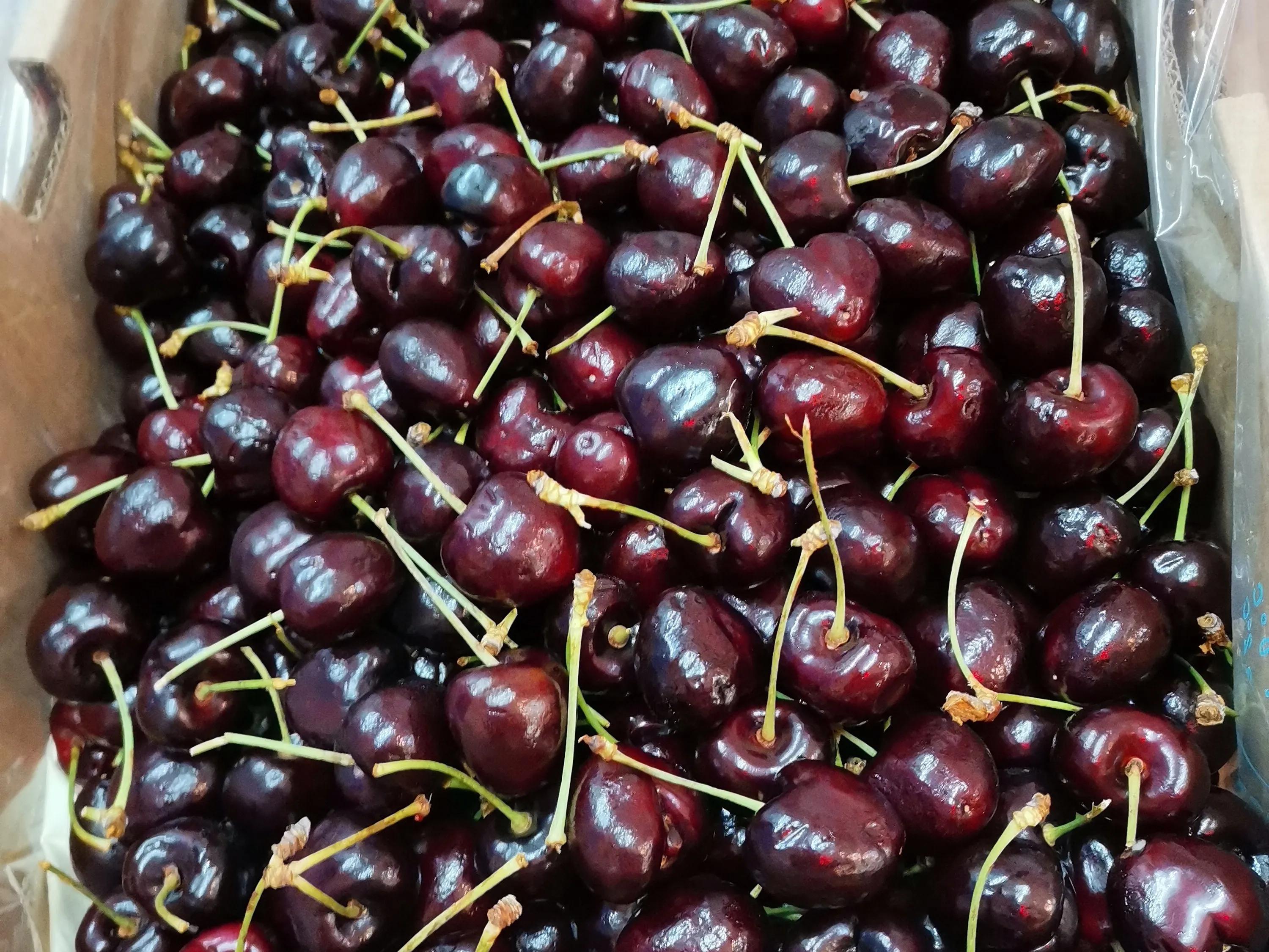 选车厘子口诀,选车厘子技巧