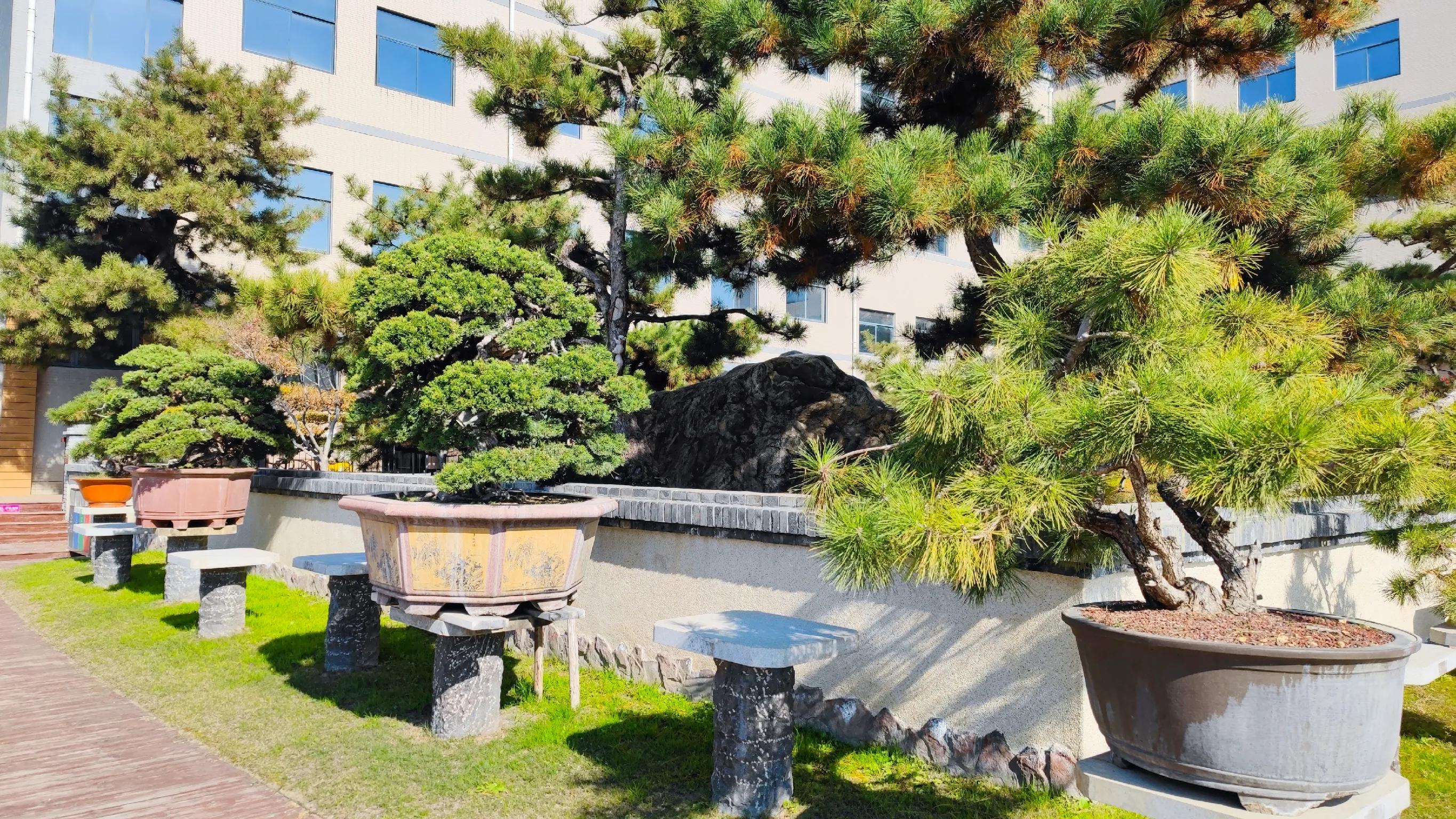 汉车友,汉文化景区游览车