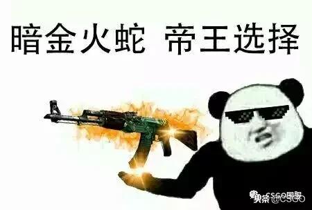 「皮肤控」第32期：最贵*器武**箱开火蛇——解锁英勇大行动*器武**箱