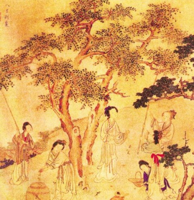 《诗经·株林》：揭露讽刺了陈灵公君臣与夏姬淫乱的丑恶行径