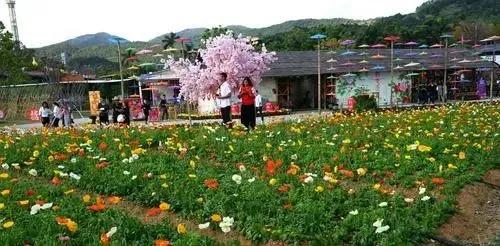 从一季度投资看西安,阎良经开临潼大幅下滑,哪里最有发展潜力?