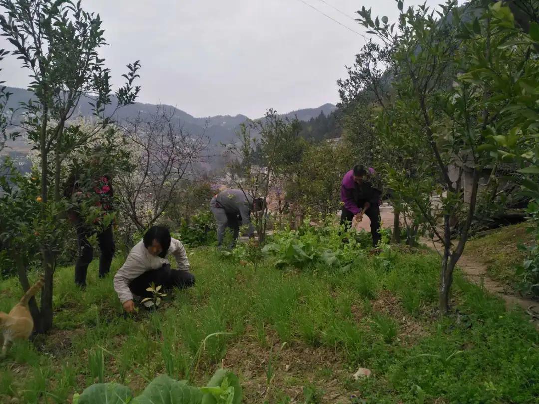 一封来自巴东县检察院驻旧县坪村工作队的感谢信