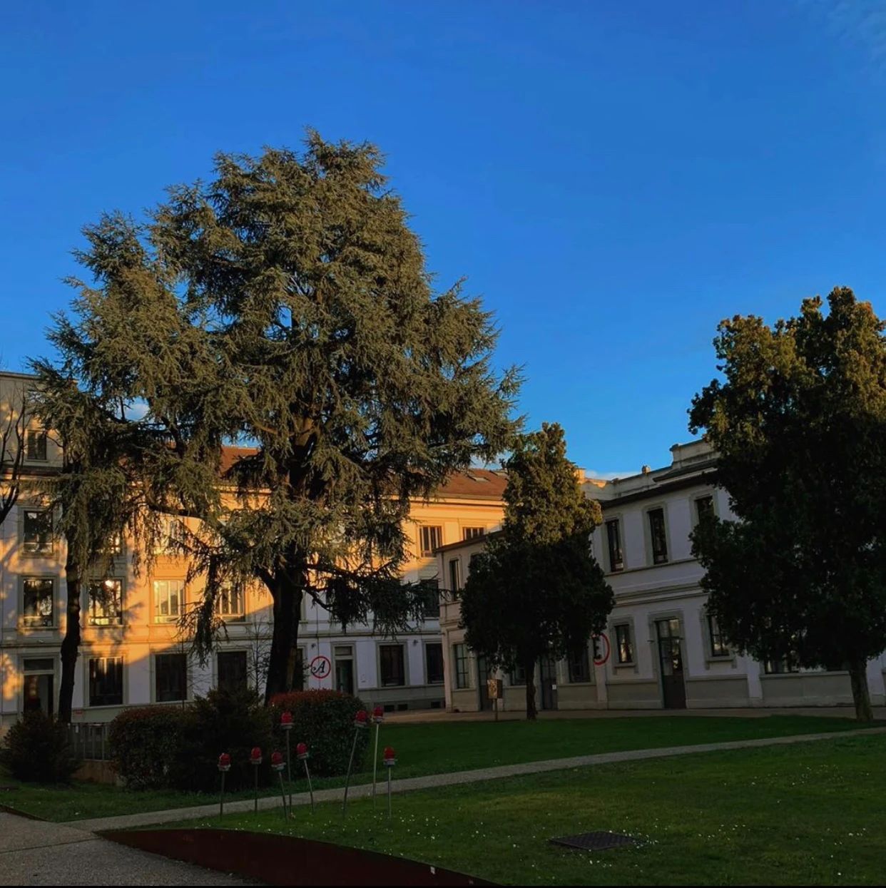 在意大利学习推拿,在意大利留学体验如何