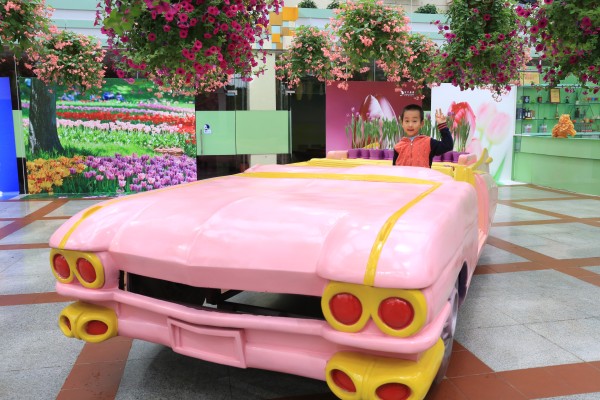 森林花海亲子游攻略,森林公园亲子游推荐