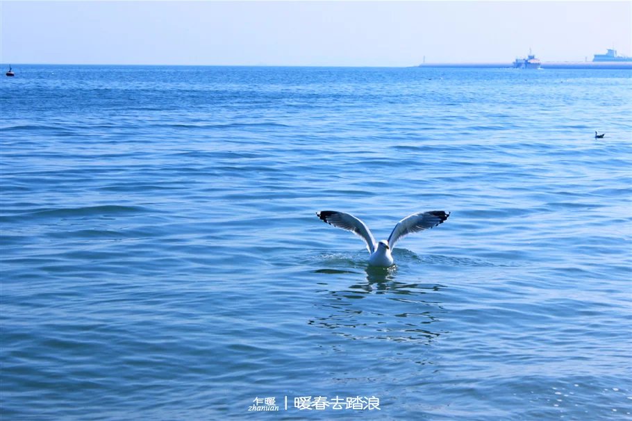 乳山为什么是长寿之乡,威海乳山市的海景房