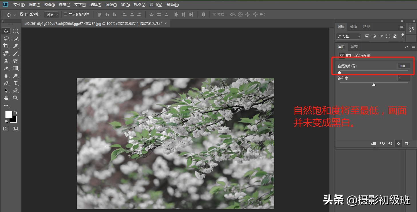 摄影饱和度怎么调,小白学摄影饱和度